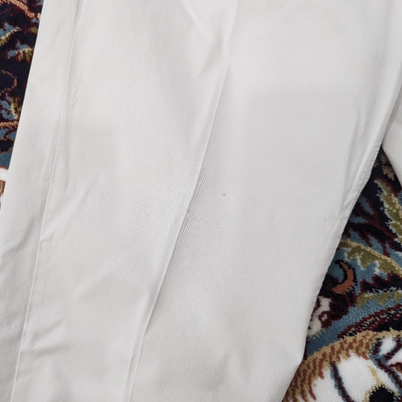 Massimo Dutti Cotton-blend Trousers (Purchased in the Netherlands 🇳🇱) - Picture 3 of 7
